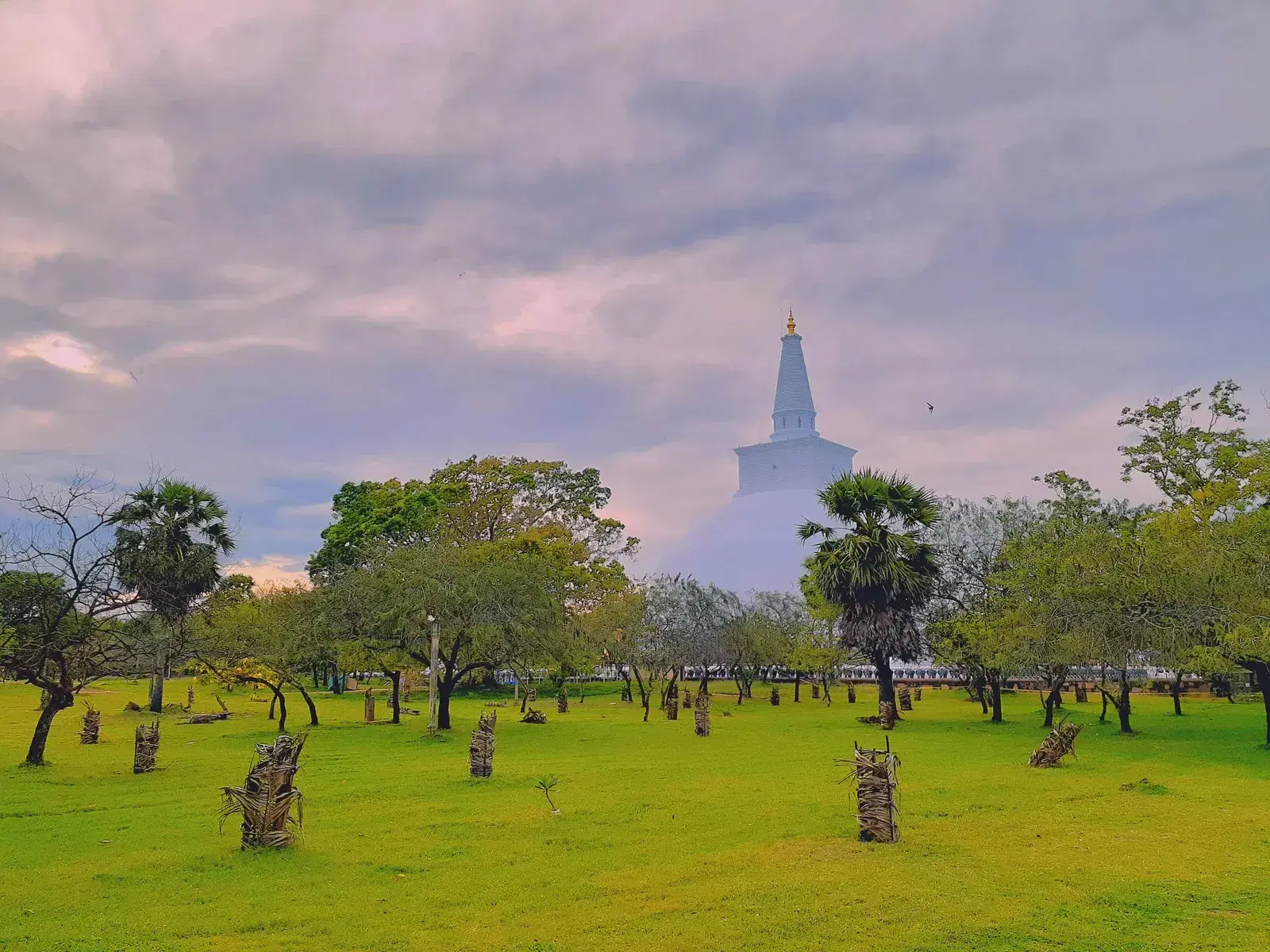 Ancient dagoba in the sacred city of Anuradhapura
