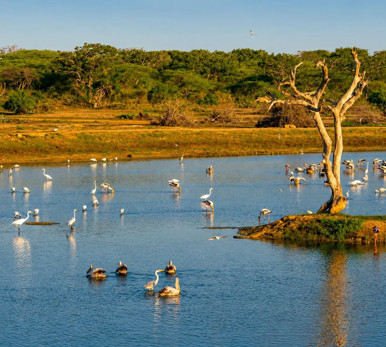 Hambantota